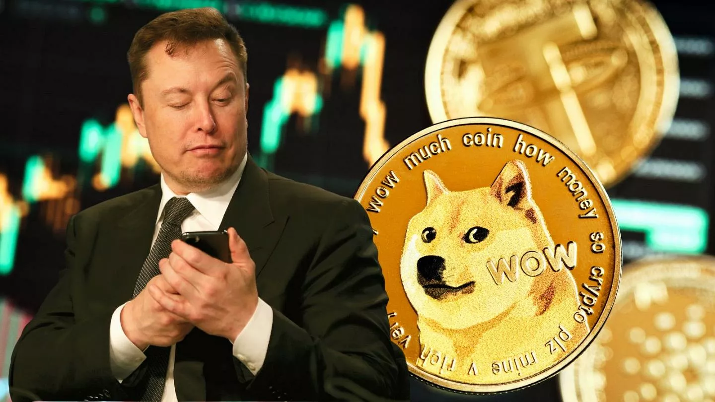 doge coin