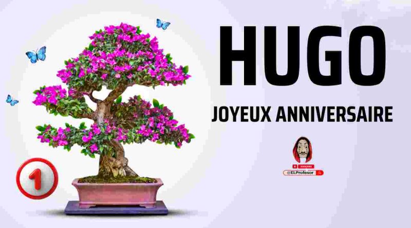 Joyeux anniversaire HUGO